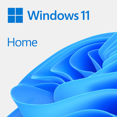 Windows 11 Home 64-bit ESD