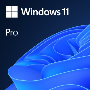 Windows 11 Pro 64-bit ESD