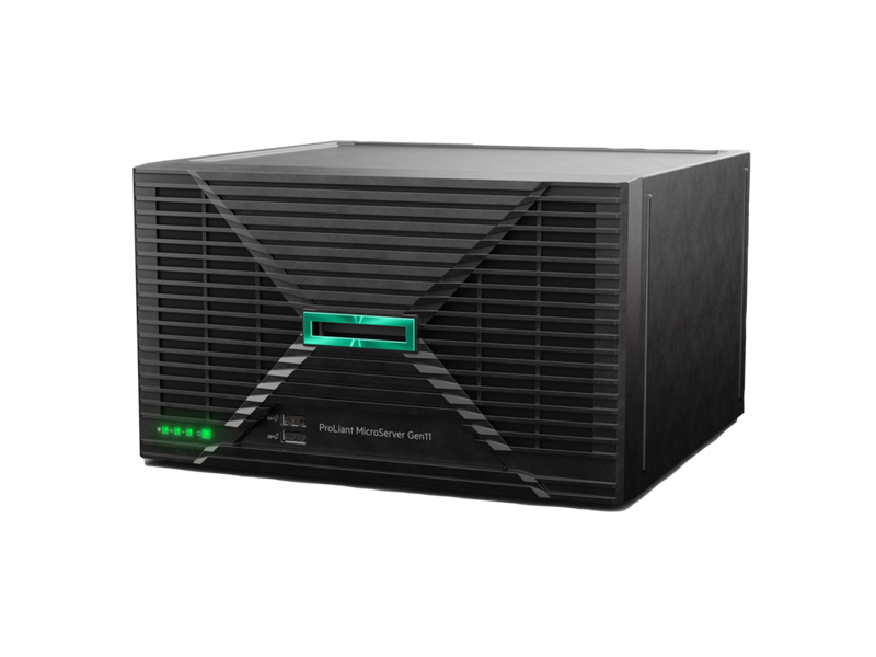 HPE ProLiant MicroServer Gen11 (P86708-DM5)