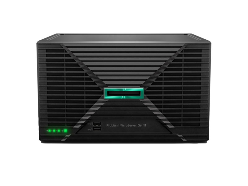HPE ProLiant MicroServer Gen11 (P86708-DM5)